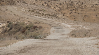 Enlarge photo 202