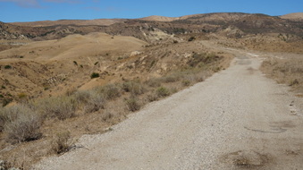 Enlarge photo 203