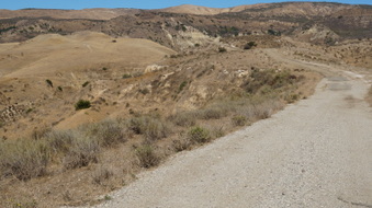 Enlarge photo 204