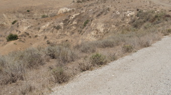 Enlarge photo 206