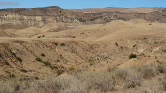 Enlarge photo 207