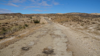 Enlarge photo 213