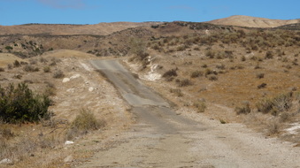 Enlarge photo 208