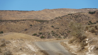 Enlarge photo 209