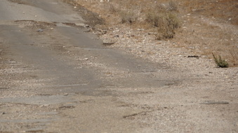Enlarge photo 210