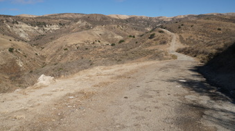 Enlarge photo 215
