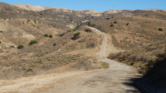 Enlarge photo 216