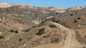 Enlarge photo 217