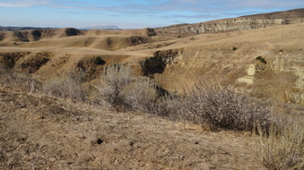 Enlarge photo 218