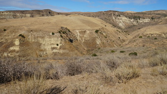 Enlarge photo 220