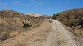 Enlarge photo 221