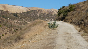 Enlarge photo 223