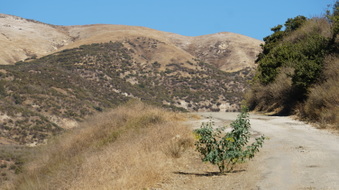 Enlarge photo 222