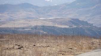 Enlarge photo 226
