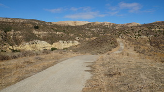Enlarge photo 227