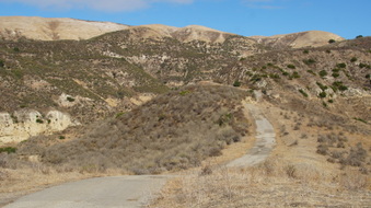 Enlarge photo 228