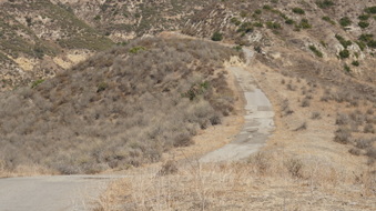Enlarge photo 240