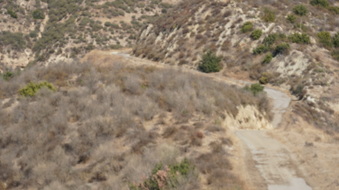 Enlarge photo 229
