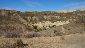 Enlarge photo 232