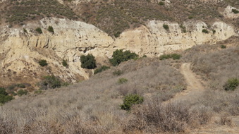 Enlarge photo 234