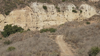 Enlarge photo 235