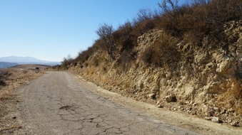 Enlarge photo 237