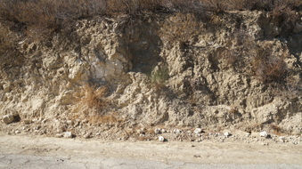 Enlarge photo 238