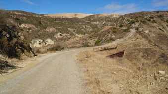 Enlarge photo 241