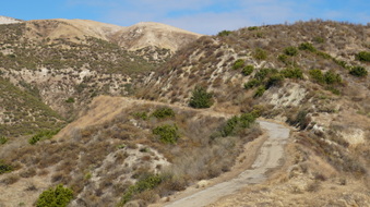 Enlarge photo 243