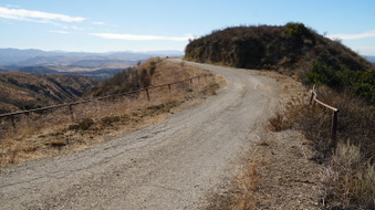 Enlarge photo 246