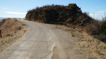 Enlarge photo 248