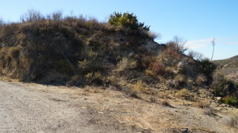 Enlarge photo 249