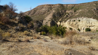 Enlarge photo 251