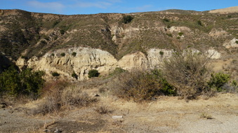 Enlarge photo 252