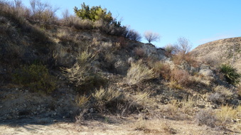 Enlarge photo 253