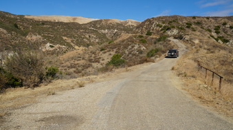 Enlarge photo 255