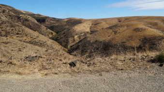 Enlarge photo 256