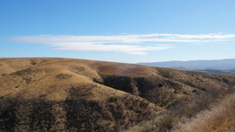 Enlarge photo 258