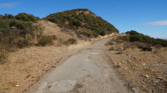 Enlarge photo 259