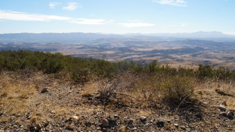 Enlarge photo 261
