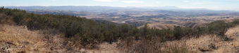 Enlarge photo 263