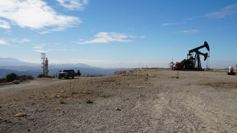 Enlarge photo 284