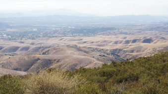 Enlarge photo 343