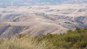 Enlarge photo 344