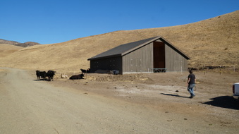 Enlarge photo 345