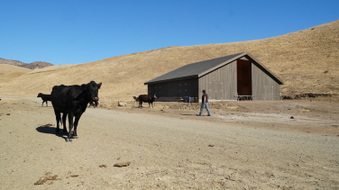 Enlarge photo 346