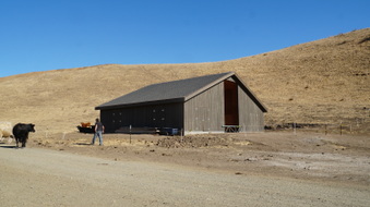 Enlarge photo 347