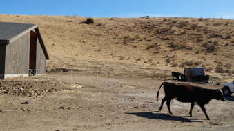 Enlarge photo 351