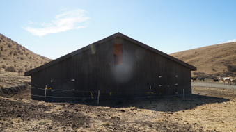 Enlarge photo 357