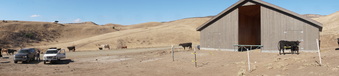 Enlarge photo 363